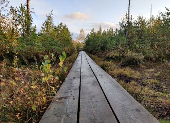 estonia/lahemaa/attraction/paaskula-bog-trail