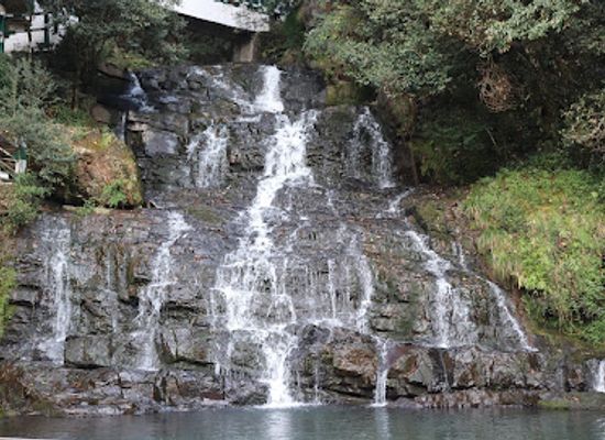 india/shillong/laitumkhrah/attraction/upper-shillong-forest