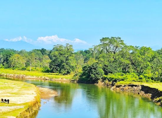 nepal/chitwan-valley/attraction/elephant-breeding-center