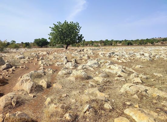 cameroon/adamawa-plateau/attraction/site-archeologique-de-bidzar