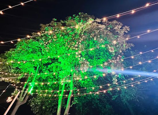 india/vadodara/attraction/royal-pan-akota