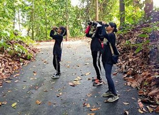 malaysia/sandakan/attraction/rainforest-discovery-centre-rdc