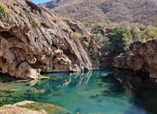 oman/dhofar-region/attraction/ain-sahlounout