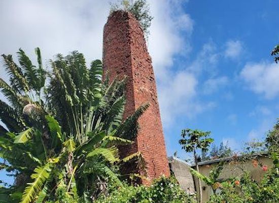 saint-kitts-and-nevis/middle-island/attraction/milliken-estate-yard