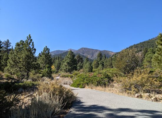 nevada/washoe-county/attraction/galena-creek-visitor-center