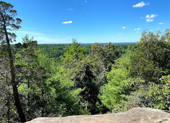 massachusetts/south-shore/attraction/mass-audubon-s-moose-hill-wildlife-sanctuary