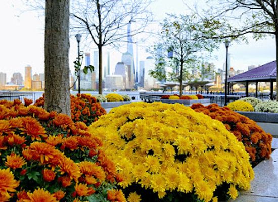 new-jersey/high-point-state-park/attraction/j-owen-grundy-park