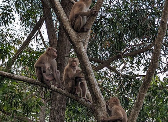 cambodia/kampot-province/attraction/view-point