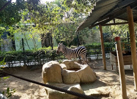 colombia/barranquilla/miramar/attraction/zoologico-de-barranquilla