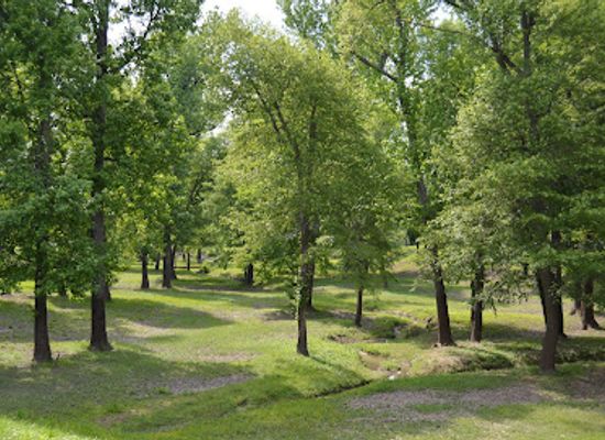 illinois/southern-illinois/attraction/fort-massac-state-park