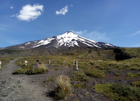 chile/pucon/attraction/plaza-de-armas-de-pucon