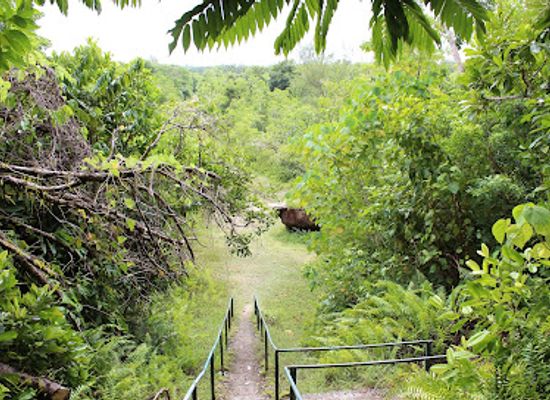 palau/peleliu-island/attraction/american-lvt-and-japanese-cannon