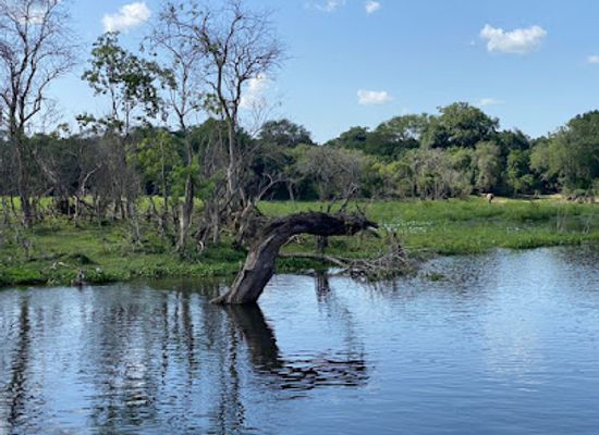 uganda/west-nile/attraction/murchison-falls-national-park-kichubanyobo-entrance-gate