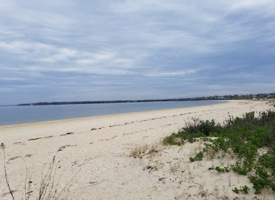 new-york/the-hamptons/attraction/foster-memorial-beach