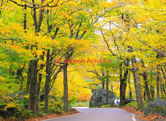 vermont/smugglers-notch-state-park/attraction/smugglers-notch