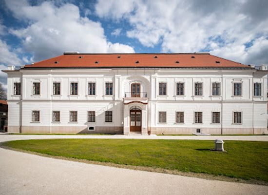 hungary/central-transdanubia/attraction/tata-esterhazy-kastely