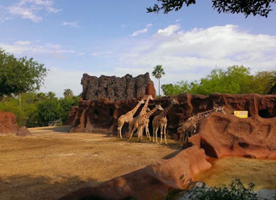 texas/brownsville/attraction/gladys-porter-zoo