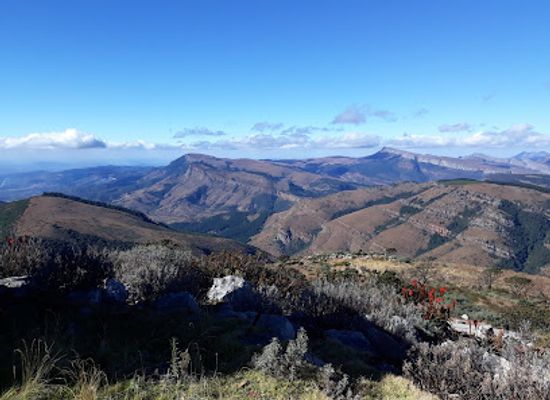south-africa/lowveld/attraction/woodbush-forest-reserve