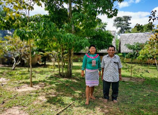 peru/south-coast/attraction/mai-niti-ayahuasca-plant-medicine-healing-center