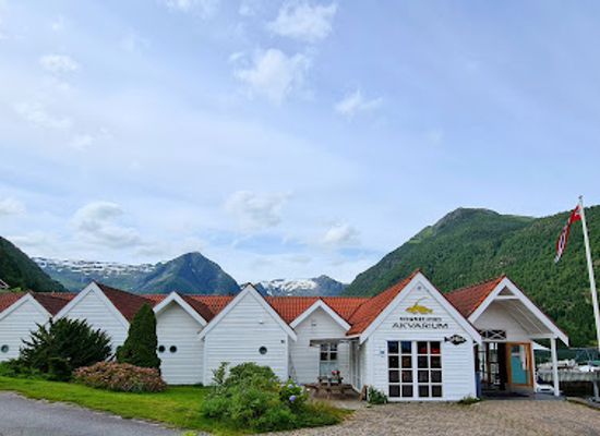norway/sognefjord/attraction/sognefjord-akvarium