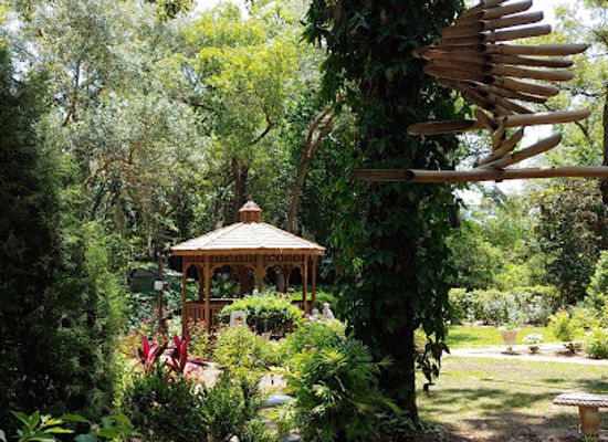 florida/nature-coast/attraction/nature-coast-botanical-garden-nursery