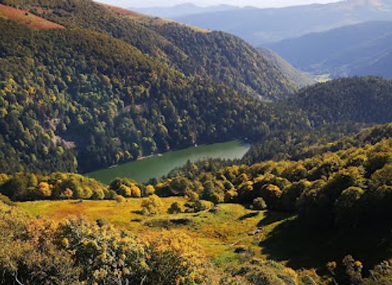 france/vosges-mountains/attraction/nature-house-of-rothenbach