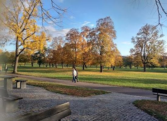 germany/stuttgart/attraction/rosensteinpark-stuttgart