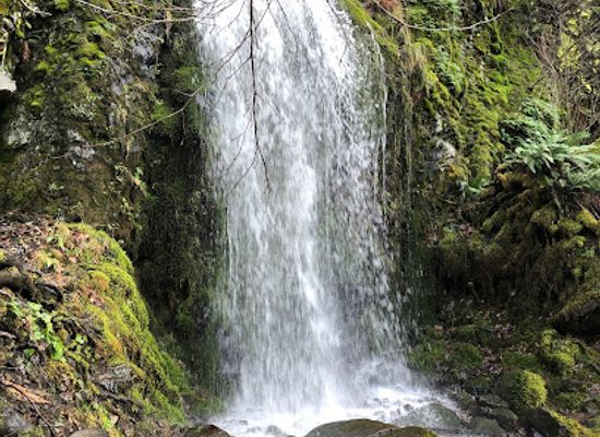 oregon/cascade-mountains/attraction/lancaster-falls