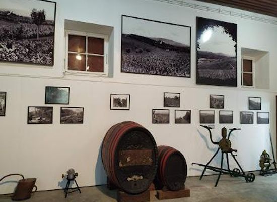 serbia/kragujevac/attraction/king-s-winery