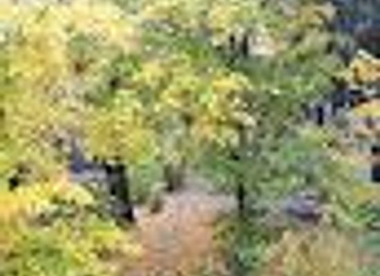 kyrgyzstan/kemin/attraction/orobashy