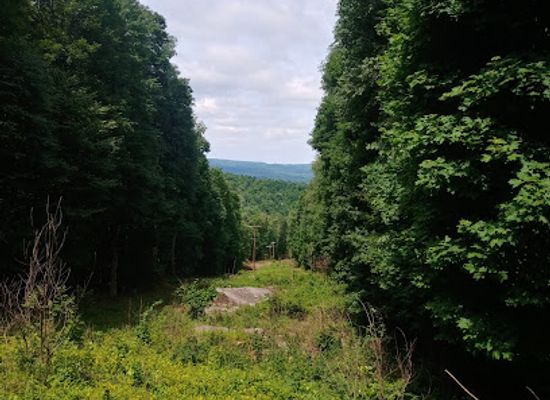 west-virginia/allegheny-highlands/attraction/rich-mountain-battlefield