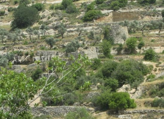 israel/bethlehem/attraction/qalaat-al-kulliya