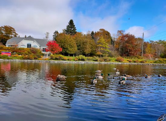 canada/atlantic-canada/attraction/rockwood-park