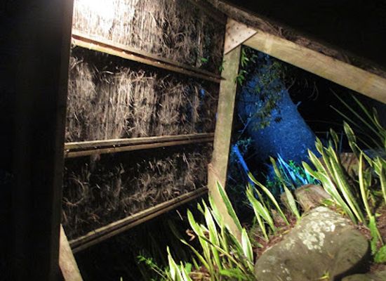 norfolk-island/mount-pitt/attraction/wonderland-by-night