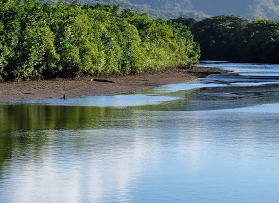 australia/far-north-queensland/attraction/mowbray-river-foot-bridge