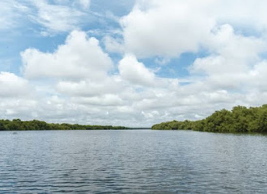 colombia/sucre-department/attraction/cienaga-de-la-caimanera