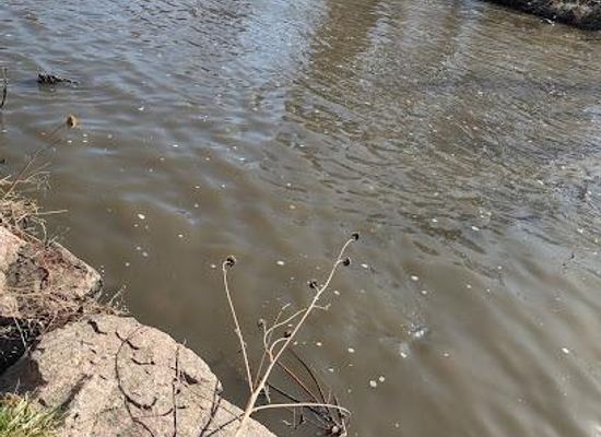 colorado/denver/attraction/s-platte-river-trail
