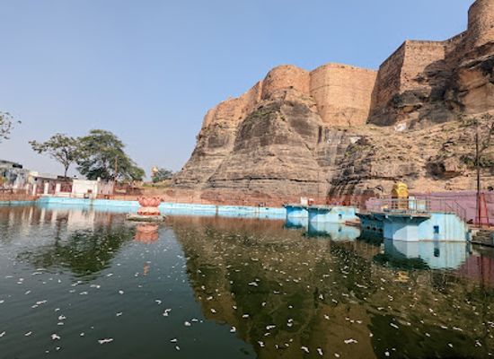 india/gwalior/attraction/lotus-pond
