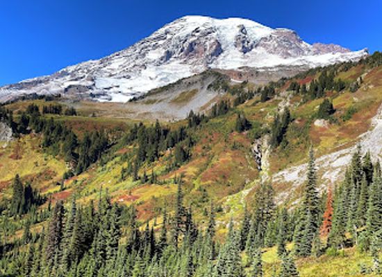washington/mount-rainier-area/attraction/stevens-van-trump-historical-monument