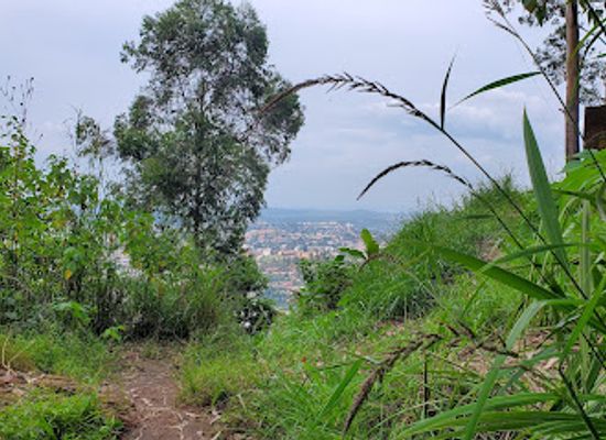 cameroon/bamenda-highlands/attraction/sisia-waterfalls