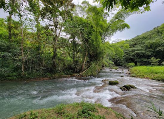 jamaica/savanna-la-mar/attraction/venture-river-falls-farm-tour-campsite
