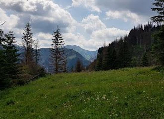 poland/gorce-mountains/attraction/koscieliska-valley