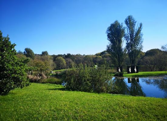 south-africa/gauteng/attraction/nirox-sculpture-park