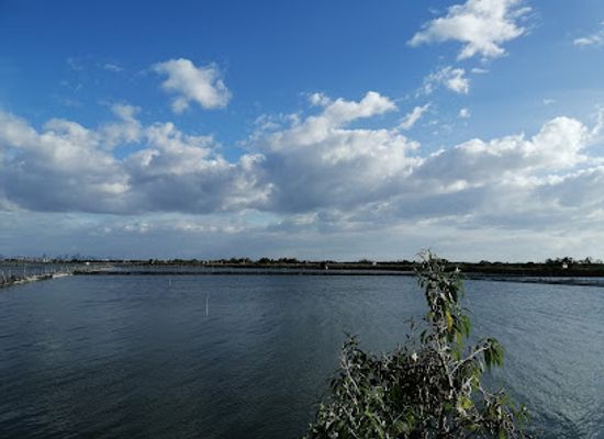 philippines/national-capital-region-ncr/attraction/dampalit-megadike