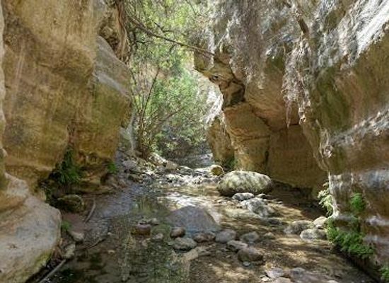cyprus/pissouri/attraction/avakas-gorge-nature-trail