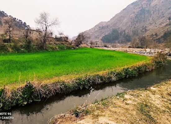 pakistan/hazara/attraction/siran-lake