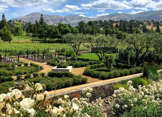 california/napa-valley/attraction/shadybrook-estate-winery