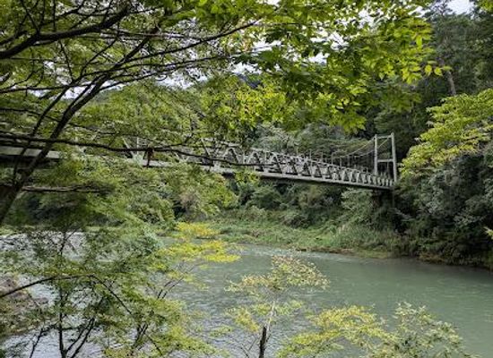 japan/musashi/attraction/seiryu-garden-sawanoi-en