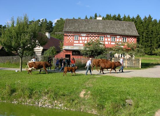 germany/upper-palatinate/attraction/freilandmuseum-oberpfalz