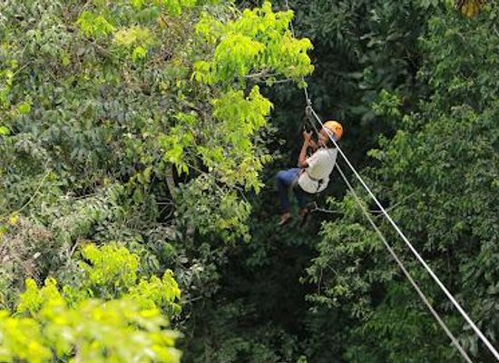 uganda/eastern-region/attraction/mabira-forest